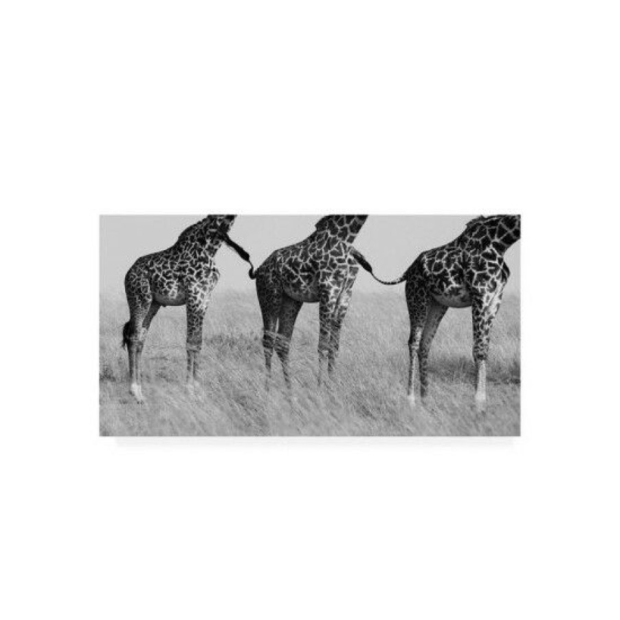 Home Decor * | Best Sale Trademark Global Mohammed Alnaser Wild Connection Canvas Art 37 X 49 Multi